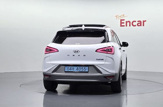 Hyundai Nexo Premium — пробег 47 622 км — фото 4 из 5