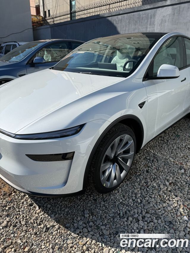Tesla Model Y Long Range AWD — пробег 19 729 км — фото 1 из 5