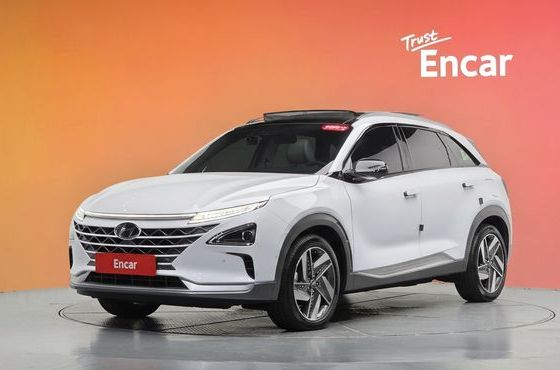 Hyundai Nexo Premium — пробег 41 905 км — фото 1 из 5