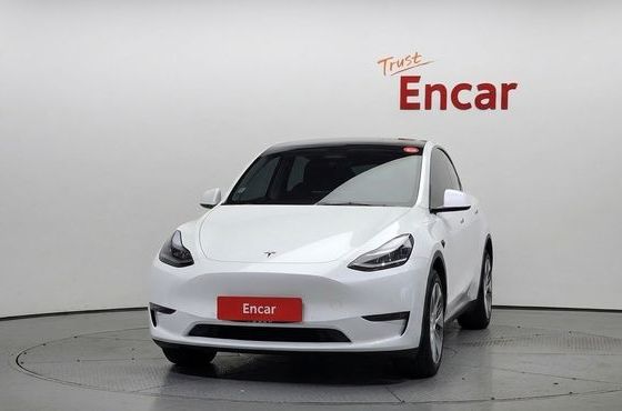 Tesla Model Y Long Range AWD — пробег 85 818 км — фото 3 из 5
