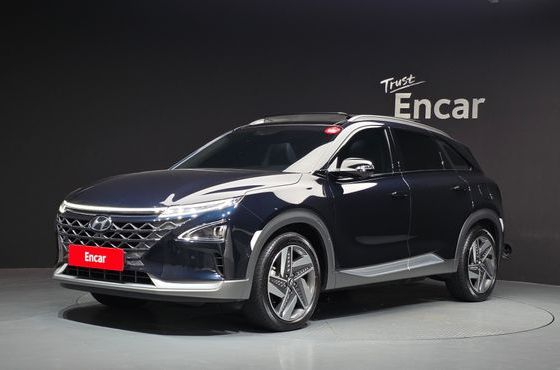 Hyundai Nexo Premium — пробег 44 079 км — фото 1 из 5