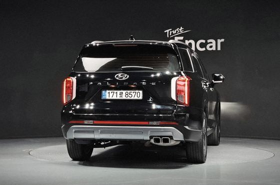 Hyundai Palisade Diesel 2.2 2WD Le Blanc — пробег 58 265 км — фото 4 из 5
