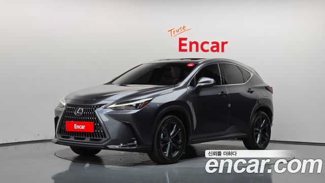 Lexus NX Premium — пробег 23 893 км — фото 1 из 5