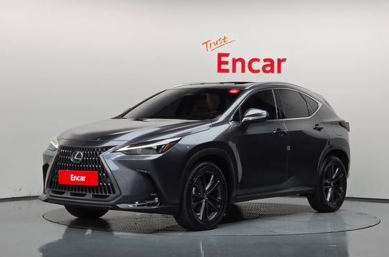 Lexus NX Premium — пробег 23 893 км — фото 1 из 5