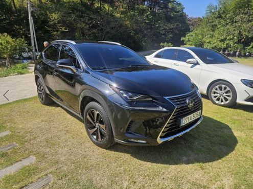Lexus NX Executive — пробег 149 648 км — фото 4 из 5