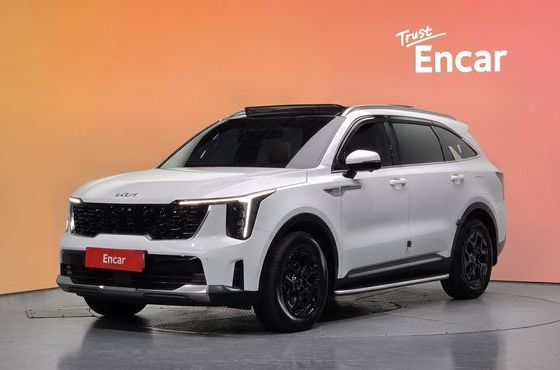 Kia Sorento HEV 1.6 2WD Signature — пробег 50 828 км — фото 1 из 5