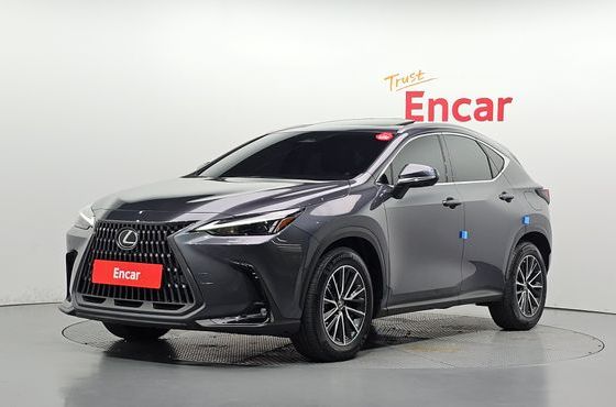 Lexus NX Premium — пробег 46 449 км — фото 1 из 5