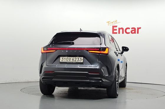 Lexus NX Premium — пробег 46 449 км — фото 4 из 5