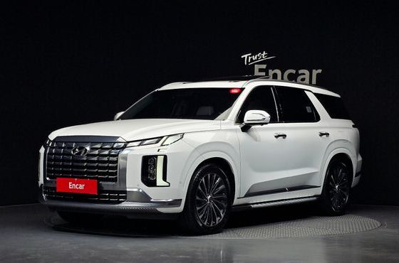 Hyundai Palisade Gasoline 3.8 4WD Calligraphy — пробег 59 590 км — фото 1 из 5