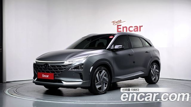 Hyundai Nexo Premium — пробег 46 446 км — фото 1 из 5