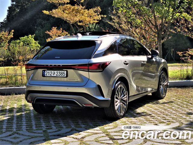 Lexus RX Luxury — пробег 21 300 км — фото 2 из 5