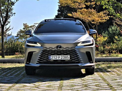 Lexus RX Luxury — пробег 21 300 км — фото 3 из 5