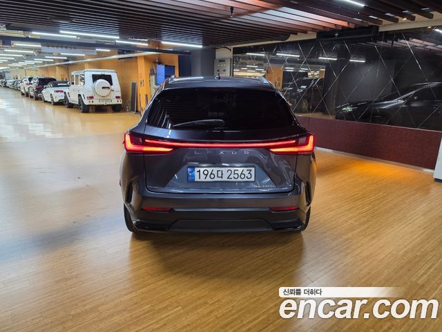 Lexus NX Premium — пробег 62 287 км — фото 4 из 5