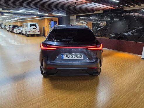 Lexus NX Premium — пробег 62 287 км — фото 4 из 5