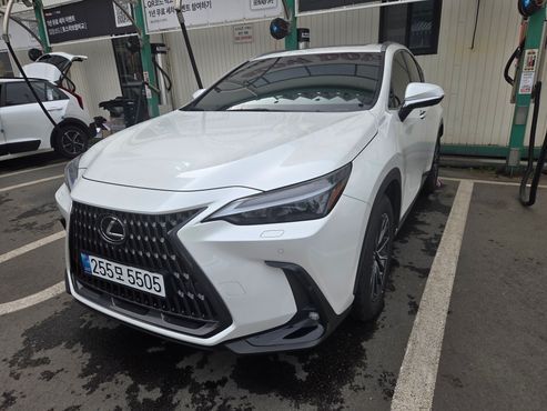 Lexus NX Premium — пробег 30 000 км — фото 1 из 5