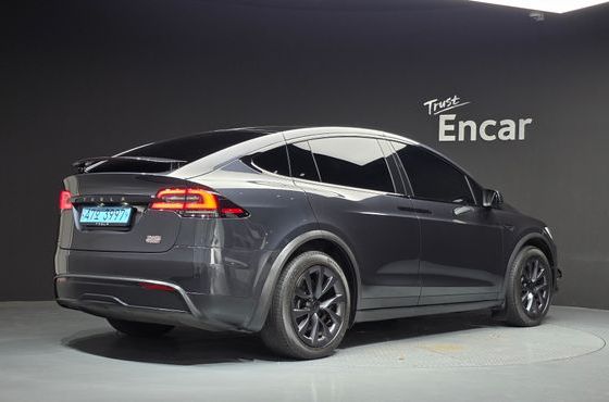 Tesla Model X Long Range — пробег 49 761 км — фото 2 из 5