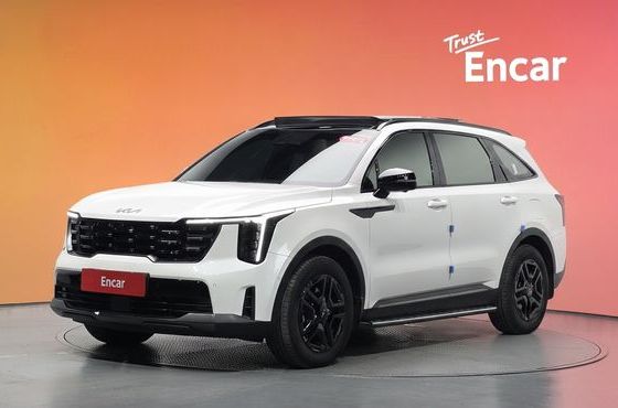 Kia Sorento HEV 1.6 2WD Gravity — пробег 30 799 км — фото 1 из 5