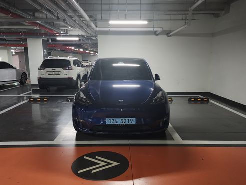 Tesla Model Y Performance AWD — пробег 27 600 км — фото 3 из 5