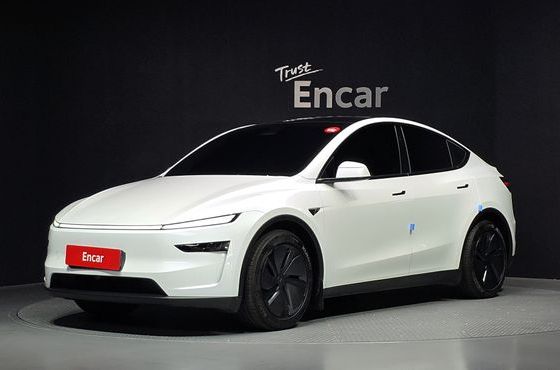 Tesla Model Y RWD — пробег 23 385 км — фото 1 из 5