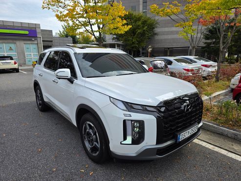 Hyundai Palisade Diesel 2.2 4WD Exclusive — пробег 39 000 км — фото 2 из 5