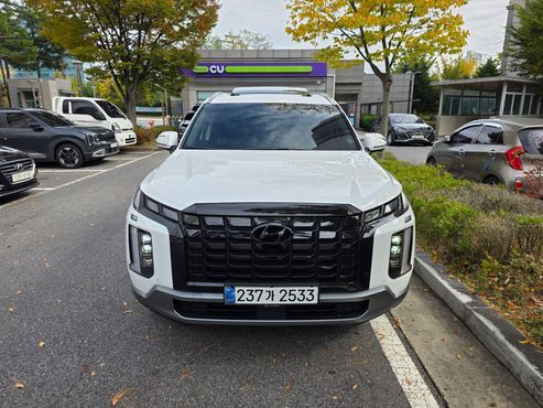 Hyundai Palisade Diesel 2.2 4WD Exclusive — пробег 39 000 км — фото 3 из 5