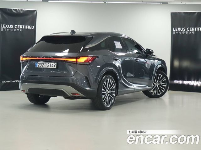Lexus RX Luxury — пробег 16 688 км — фото 2 из 5