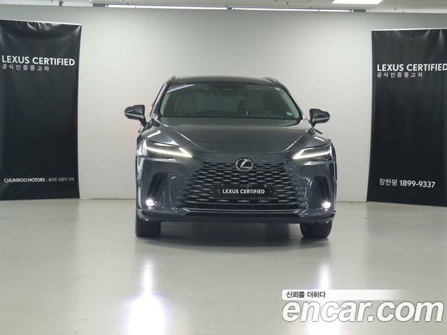 Lexus RX Luxury — пробег 16 688 км — фото 3 из 5
