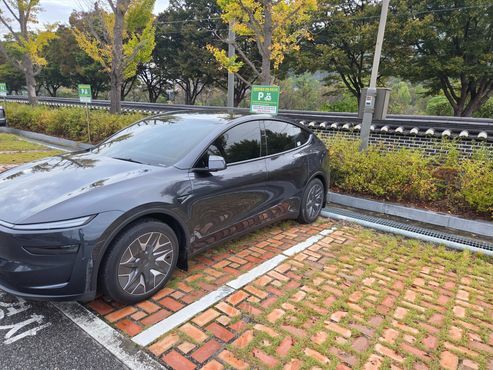 Tesla Model Y L Long Range AWD — пробег 3 265 км — фото 3 из 5