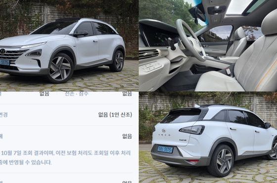 Hyundai Nexo Premium — пробег 163 737 км — фото 1 из 5