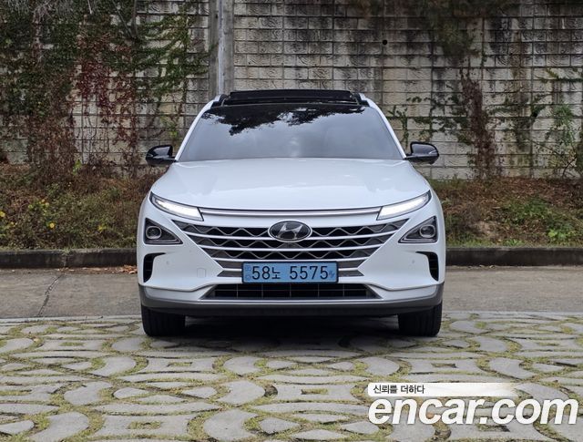 Hyundai Nexo Premium — пробег 163 737 км — фото 4 из 5