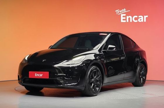 Tesla Model Y RWD — пробег 61 535 км — фото 1 из 5