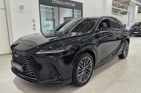 Lexus RX Luxury — пробег 2 041 км — фото 1 из 5