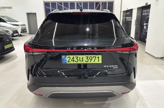 Lexus RX Luxury — пробег 2 041 км — фото 4 из 5