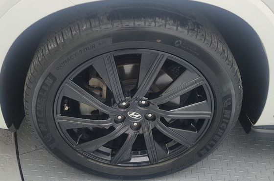 Hyundai Palisade Diesel 2.2 4WD VIP — пробег 55 468 км — фото 5 из 5