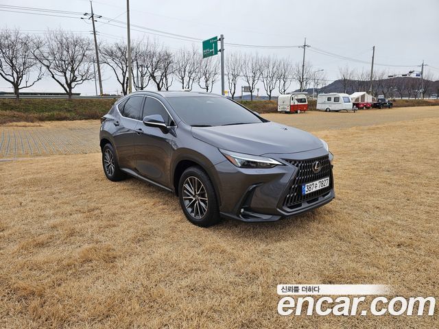Lexus NX Premium — пробег 23 572 км — фото 1 из 5