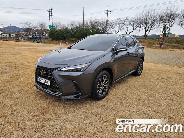 Lexus NX Premium — пробег 23 572 км — фото 3 из 5