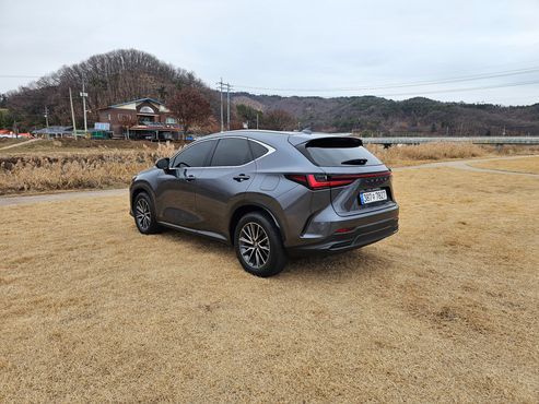 Lexus NX Premium — пробег 23 572 км — фото 5 из 5