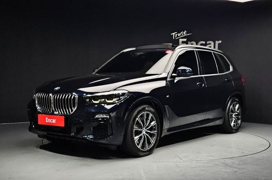 BMW X5 xDrive 30d M Sport — пробег 90 266 км — фото 1 из 5