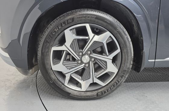 Hyundai Palisade Gasoline 3.8 4WD VIP — пробег 32 045 км — фото 5 из 5