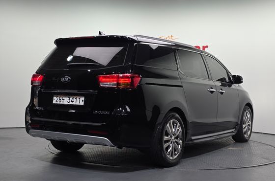 Kia Carnival 7-seater Limousine VIP — пробег 138 674 км — фото 2 из 5