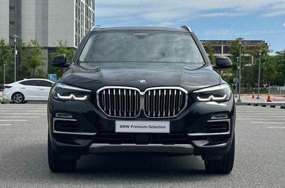 BMW X5 xDrive 30d xLine — пробег 58 507 км — фото 3 из 5