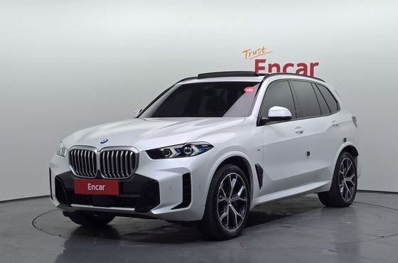 BMW X5 xDrive 40i M Sport — пробег 29 733 км — фото 1 из 5