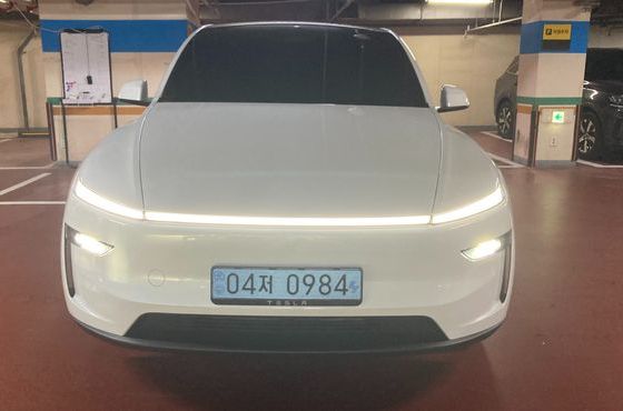 Tesla Model Y Premium RWD — пробег 300 км — фото 1 из 5