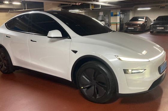 Tesla Model Y Premium RWD — пробег 300 км — фото 2 из 5