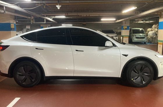 Tesla Model Y Premium RWD — пробег 300 км — фото 3 из 5