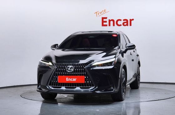 Lexus NX Premium — пробег 31 119 км — фото 3 из 5