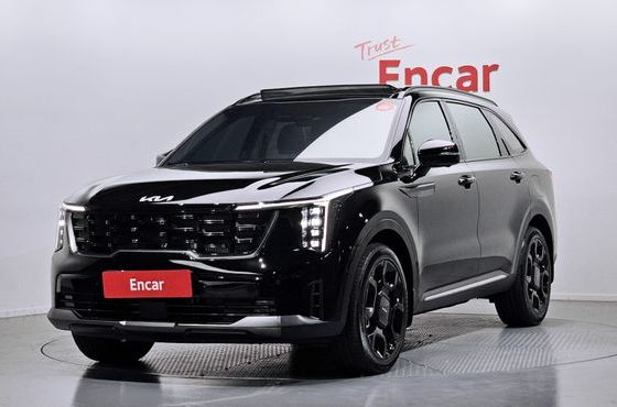 Kia Sorento Gasoline 2.5T 2WD Gravity — пробег 20 258 км — фото 1 из 5