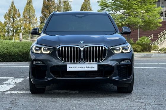 BMW X5 xDrive 40i M Sport — пробег 97 239 км — фото 3 из 5