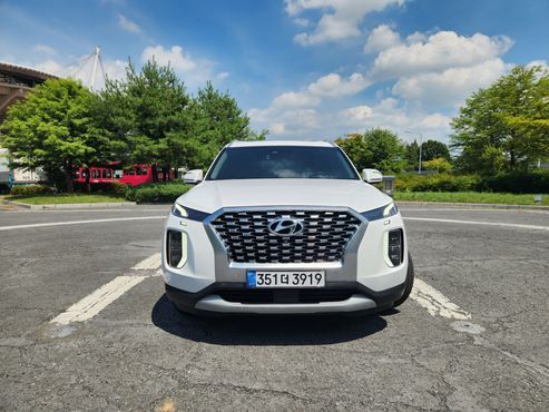 Hyundai Palisade Diesel 2.2 4WD Prestige — пробег 234 843 км — фото 3 из 5