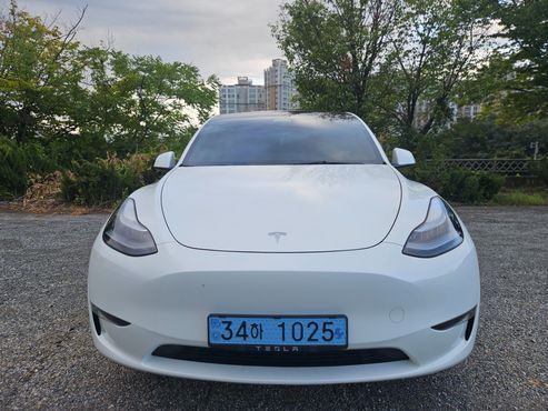 Tesla Model Y Long Range AWD — пробег 66 348 км — фото 3 из 5